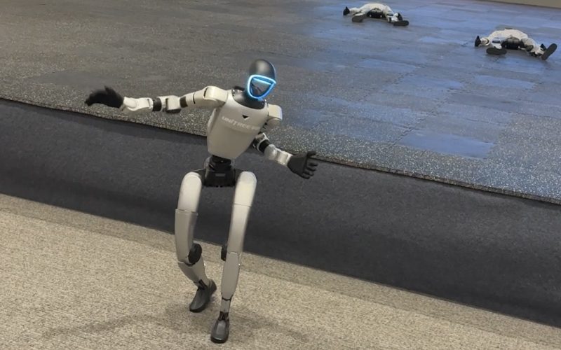 人形機器人表演