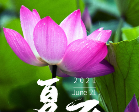 今日夏至|半夏木槿，萬(wàn)物勃發(fā)，長(zhǎng)日滿滿，青島中新華美遙祝夏安